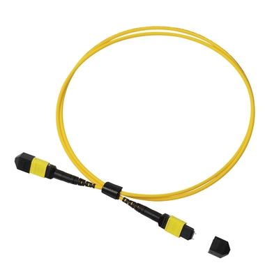 Plenum OFNP MPO Patch Cord 1m 3ft MTP-12 APC nữ đến MTP-12 APC nữ chế độ đơn OS2
