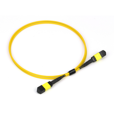 Plenum OFNP MPO Patch Cord 1m 3ft MTP-12 APC nữ đến MTP-12 APC nữ chế độ đơn OS2