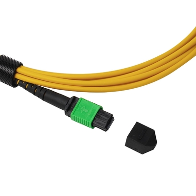 Plenum OFNP MPO Patch Cord 1m 3ft MTP-12 APC nữ đến MTP-12 APC nữ chế độ đơn OS2