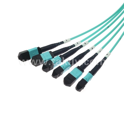 72 lõi SM MM MPO Patch Cord MTP Trunk Cable Jumper cho trung tâm dữ liệu FTTX