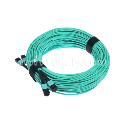 24 lõi MTP Trunk Cable Fiber Optic Jumper cho trung tâm dữ liệu FTTX PVC tùy chỉnh