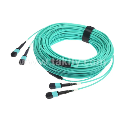 24 lõi MTP Trunk Cable Fiber Optic Jumper cho trung tâm dữ liệu FTTX PVC tùy chỉnh