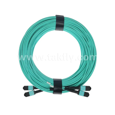 24 lõi MTP Trunk Cable Fiber Optic Jumper cho trung tâm dữ liệu FTTX PVC tùy chỉnh
