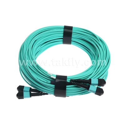 24 lõi MTP Trunk Cable Fiber Optic Jumper cho trung tâm dữ liệu FTTX PVC tùy chỉnh