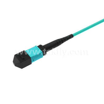 24 lõi MTP Trunk Cable Fiber Optic Jumper cho trung tâm dữ liệu FTTX PVC tùy chỉnh
