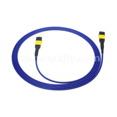MPO / MTP Patchcord Cáp thân áo SM / MM Jumper Sợi quang cho Trung tâm dữ liệu AI FTTX Telecom