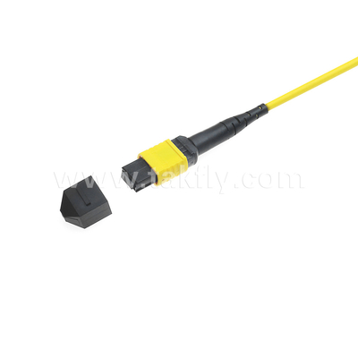 Trung tâm dữ liệu FTTX Cáp quang sợi MPO Patch Cord MTP Cáp thân xe bọc thép SM MM Jumper