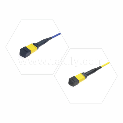 Trung tâm dữ liệu FTTX Cáp quang sợi MPO Patch Cord MTP Cáp thân xe bọc thép SM MM Jumper