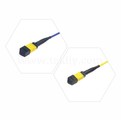 MPO / MTP Patchcord Cáp thân áo SM / MM Jumper Sợi quang cho Trung tâm dữ liệu AI FTTX Telecom