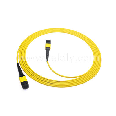 MPO / MTP Patchcord Cáp thân áo SM / MM Jumper Sợi quang cho Trung tâm dữ liệu AI FTTX Telecom
