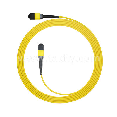 MPO / MTP Patchcord Cáp thân áo SM / MM Jumper Sợi quang cho Trung tâm dữ liệu AI FTTX Telecom