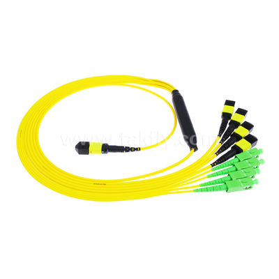 MPO/MTP Patchcord Cable Fanout Splitter SC/LC/FC/ST/MPO Sợi quang cho Trung tâm dữ liệu AI FTTx Telecom