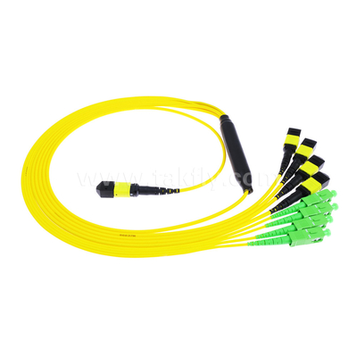 Không cần MTP Trunk Cable MPO/MTP SC/LC/FC/ST/MPO Fiber Optic Cable cho trung tâm dữ liệu