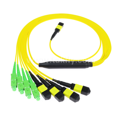 Không cần MTP Trunk Cable MPO/MTP SC/LC/FC/ST/MPO Fiber Optic Cable cho trung tâm dữ liệu