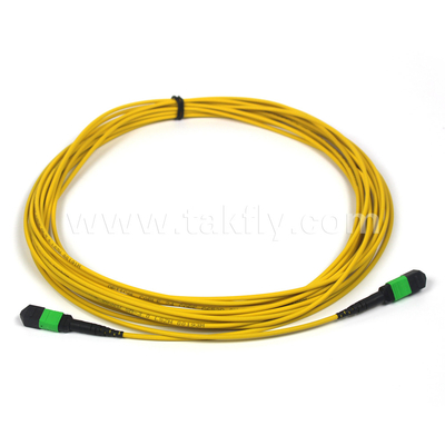 MTP-12 APC Phụ nữ đến MTP-12 APC Phụ nữ Đơn chế độ OS2 Plenum OFNP Loại A MPO dây dán
