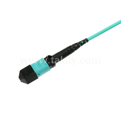 Elite Multimode OM3 50/125 Plenum OFNP Type B MPO Patch Cord 30m 100ft MTP-12 PC nữ đến MTP-12 PC nữ