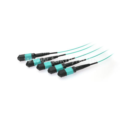 MPO/MTP Fanout Cable PLC Splitter 1x4 SM/MM Sợi quang cho trung tâm dữ liệu FTTX