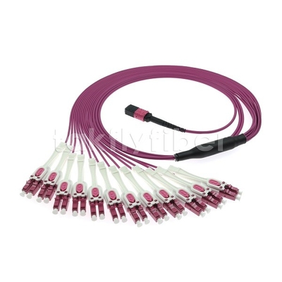 24F MTP 12x LC DX Uniboot OM4 Fiber Patch Cord cho mạng tốc độ cao