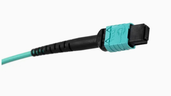 MTP tương thích Om3 MPO đến MPO Cáp sợi quang cho Qsfp + Transceivers Truyền thông 5g loại B
