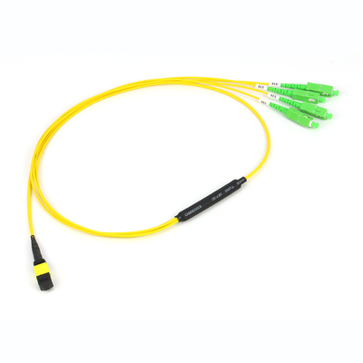 12/24/48/96/144 lõi LC SC FC MPO MTP Trunk Cable Jumper Fiber Optic Patchcord