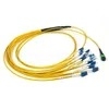 MTP MPO Patchcord 12 24 Fiber OM3 OM4 Multimode Single Mode