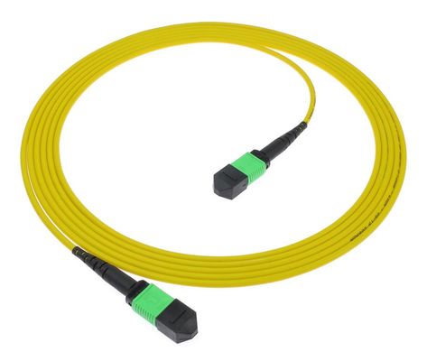 MPO/MTP Patch Cord PC và APC PVC/LSZH SM/MM