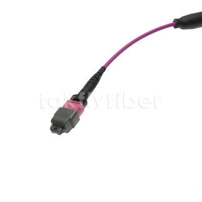 100G CPR B2ca OFNP OM4 USCONEC MTP Elite 8 Fiber MPO Fiber Optic Breakout Cable