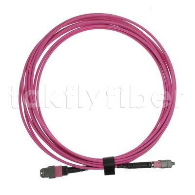 Cáp Trunk Fiber OM4 MPO sang MPO B2ca CPR Đa chế độ, MTP-12 OM4 Cái sang Cái, Loại A, 5m