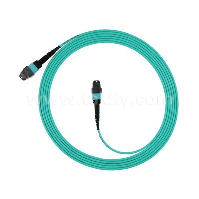 Dây nhảy quang / Cáp quang / Dây nối quang đa mode OM3 OM4 OM5 mật độ cao 8F 12F 16F 24F MPO MTP đa mode / Cáp quang nhảy / Cáp quang nhảy / Cáp quang trunk cho Trung tâm dữ liệu
