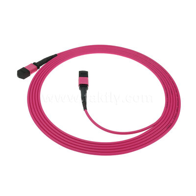 MM Multimode OM4 MPO MTP nam nữ 8F 12F 16F 24F Fiber Optic Patchcord / Cáp vá sợi quang / Cáp cắt quang / Cáp thân sợi quang với áo khoác bên ngoài PVC LSZH OFNR OFNP