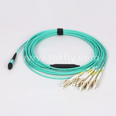 12F MPO MTP đến LC OM3 Breakout Cable cho máy chủ mật độ cao và tổng hợp chuyển đổi