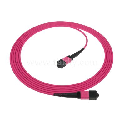 MPO/MTP Patchcord Single Mode Multimode LSZH 8f/12f/24f Cáp quang sợi cho trung tâm dữ liệu FTTX