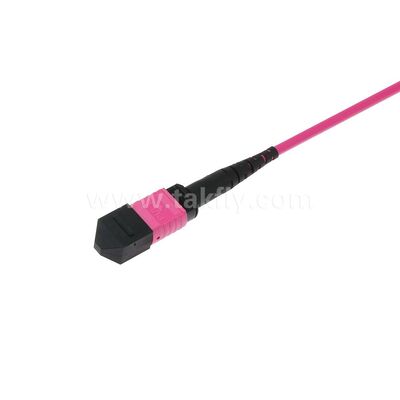 MPO/MTP Patchcord Single Mode Multimode LSZH 8f/12f/24f Cáp quang sợi cho trung tâm dữ liệu FTTX