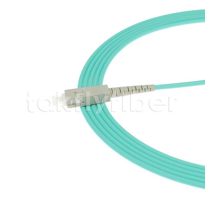 Fiber Optic Patchcord LC/Sc/FC/St Singlemode/Multimode Upc/APC Simplex/Duplex Jumper cho FTTH Data Center Telecom