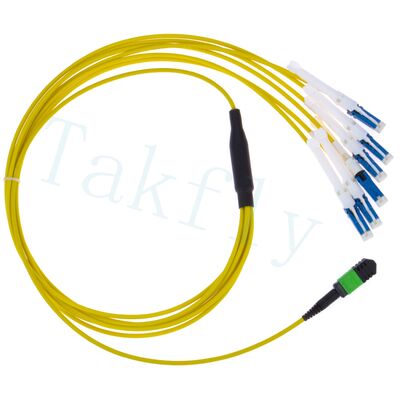 MPO đến CS Breakout Patch Cord ¢ Giải pháp mật độ cao cho 400G / 800G Data Center Interconnects