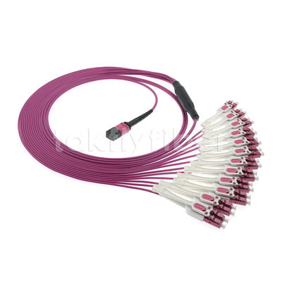 OM4 MPO đến LC Uniboot 1-to-24 Breakout Patch Cord UPC Multimode Loss Low