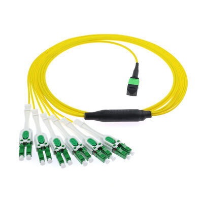 12-Fiber MPO/MTP đến 6-Port LC APC Uniboot Breakout Patch Cord.