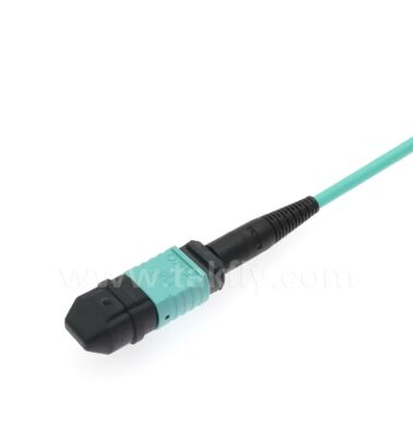 MPO/MTP-LC Breakout Patch Cord. Giải pháp cáp quang đa lõi mật độ cao
