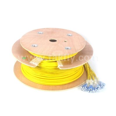 Dây vá sợi quang 48 lõi SC-SC Dây nối đột phá được kết thúc trước cho Trung tâm dữ liệu viễn thông