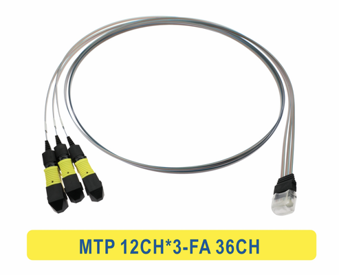 3 * 12F MTP đến 36CH FA Fiber Array Cable Fiber Optic Patchcord