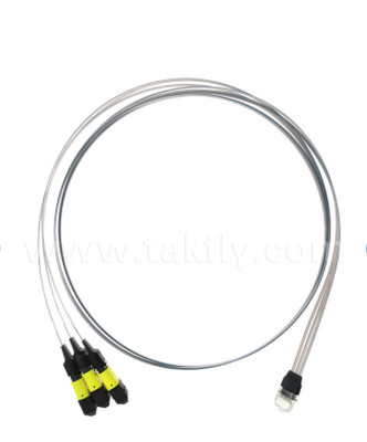 MTP 12CH × 3 đến 36 kênh Fiber Array Assembly 3 × 12CH MTP Connectors đến 36CH V-Groove FAU, Loss Insertion thấp, cho 1.6T Optical Transceivers & Co-Packed Optics (CPO)