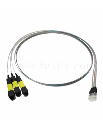MTP 12CH × 3 đến 36 kênh Fiber Array Assembly 3 × 12CH MTP Connectors đến 36CH V-Groove FAU, Loss Insertion thấp, cho 1.6T Optical Transceivers & Co-Packed Optics (CPO)