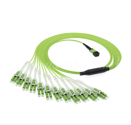 Dây nối đột phá MPO/MTP đến LC Uniboot - OM5 Multimode, 1×24, Đầu nối Uniboot LC tiết kiệm không gian, dành cho Trung tâm dữ liệu mật độ cao & các ứng dụng 40G/100G/400G