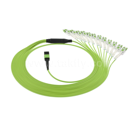 Dây nối đột phá MPO/MTP đến LC Uniboot - OM5 Multimode, 1×24, Đầu nối Uniboot LC tiết kiệm không gian, dành cho Trung tâm dữ liệu mật độ cao & các ứng dụng 40G/100G/400G