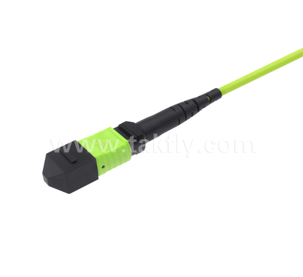 Dây nối đột phá MPO/MTP đến LC Uniboot - OM5 Multimode, 1×24, Đầu nối Uniboot LC tiết kiệm không gian, dành cho Trung tâm dữ liệu mật độ cao & các ứng dụng 40G/100G/400G