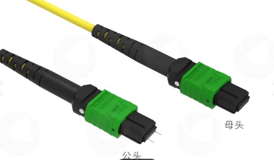 8F 12F 16F 24F MPO MTP Nam nữ SM MM Fiber Optic Patchcord / Optical Fiber Patch Cable / Optical Breakout Cable / Optical Fiber Trunk Cable cho Trung tâm dữ liệu mật độ cao