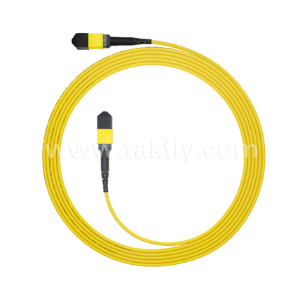 Cáp đệm MPO / MTP bọc giáp √ Vỏ kim loại mạnh mẽ, ngăn ngừa tổn thương và nghiền nát của loài gặm nhấm, cho FTTA / Công nghiệp / khai thác mỏ