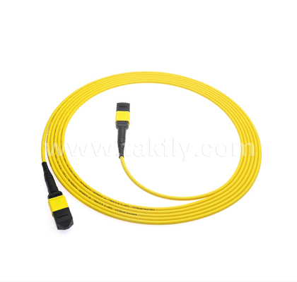 Cáp đệm MPO / MTP bọc giáp √ Vỏ kim loại mạnh mẽ, ngăn ngừa tổn thương và nghiền nát của loài gặm nhấm, cho FTTA / Công nghiệp / khai thác mỏ