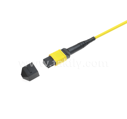 Cáp đệm MPO / MTP bọc giáp √ Vỏ kim loại mạnh mẽ, ngăn ngừa tổn thương và nghiền nát của loài gặm nhấm, cho FTTA / Công nghiệp / khai thác mỏ
