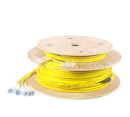 48-Core LC-LC Pre-terminated Breakout Patch Cord Density cao, cấu hình Breakout tùy chỉnh (Fiber Bare / 0.9mm / 2.0mm / 3.0mm), cho Trung tâm dữ liệu & Ứng dụng trong nhà / ngoài trời